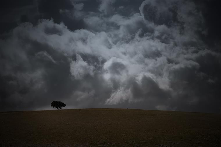 Meteorologia. Chuva está de regresso este sábado