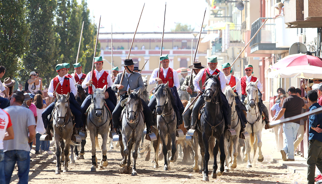 Toiros, cavalos, campinos e muita festa, é o Colete Encarnado a trazer o campo para cidade