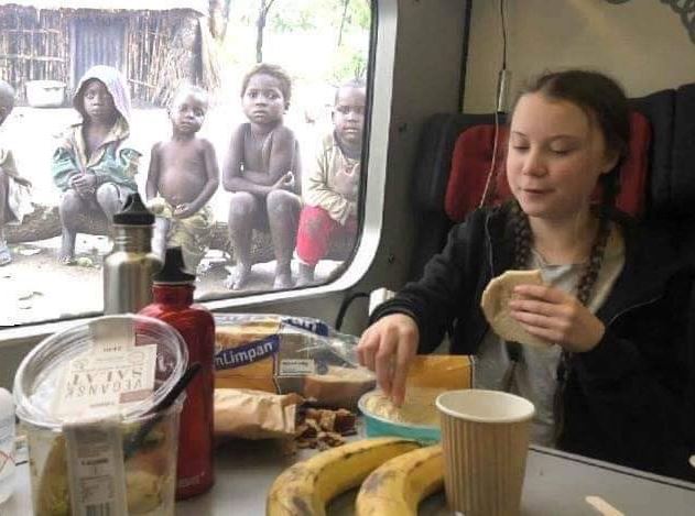 Eduardo Bolsonaro manipula e publica fotografia de Greta Thunberg