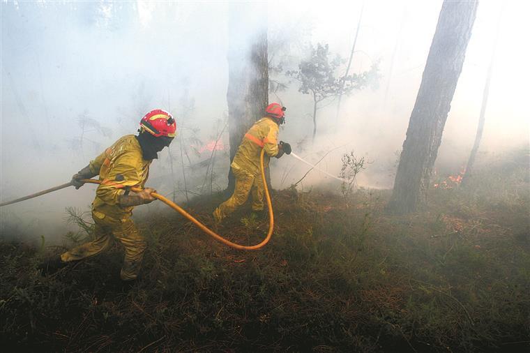 GNR identifica três menores de 13 anos suspeitos de dois incêndios no Parque Natural de Sintra-Cascais