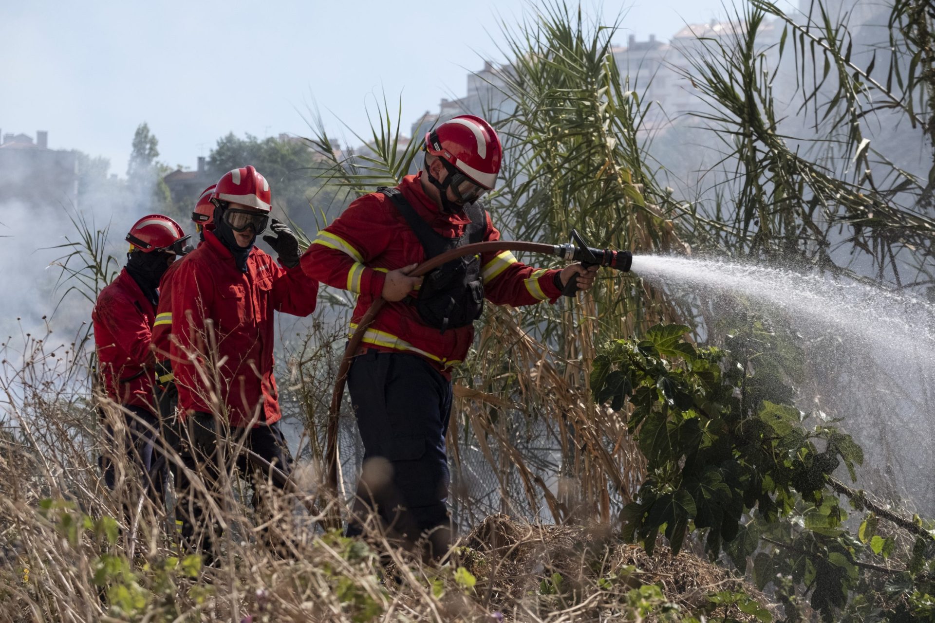 Cinco pessoas ficaram feridas em incêndio em Lisboa. Fogo já foi extinto