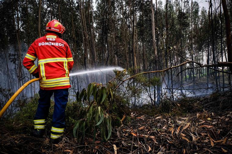 Incêndio de Albergaria-a-Velha está dominado. Populações regressam às habitações