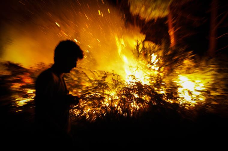 Fogos em Viseu dão sinais de abrandamento depois de uma tarde de combate intenso