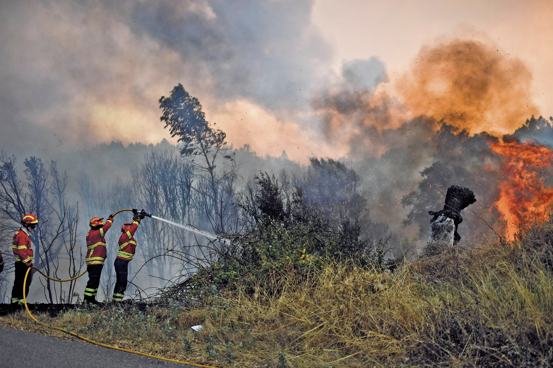 Autarcas pedem ajuda urgente após incêndio de setembro que atingiu três concelhos de Castelo Branco