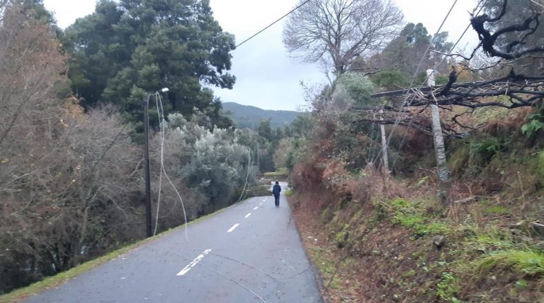 Depressão Glória. Fortes ventos e queda de árvores afetaram rede elétrica no centro do país