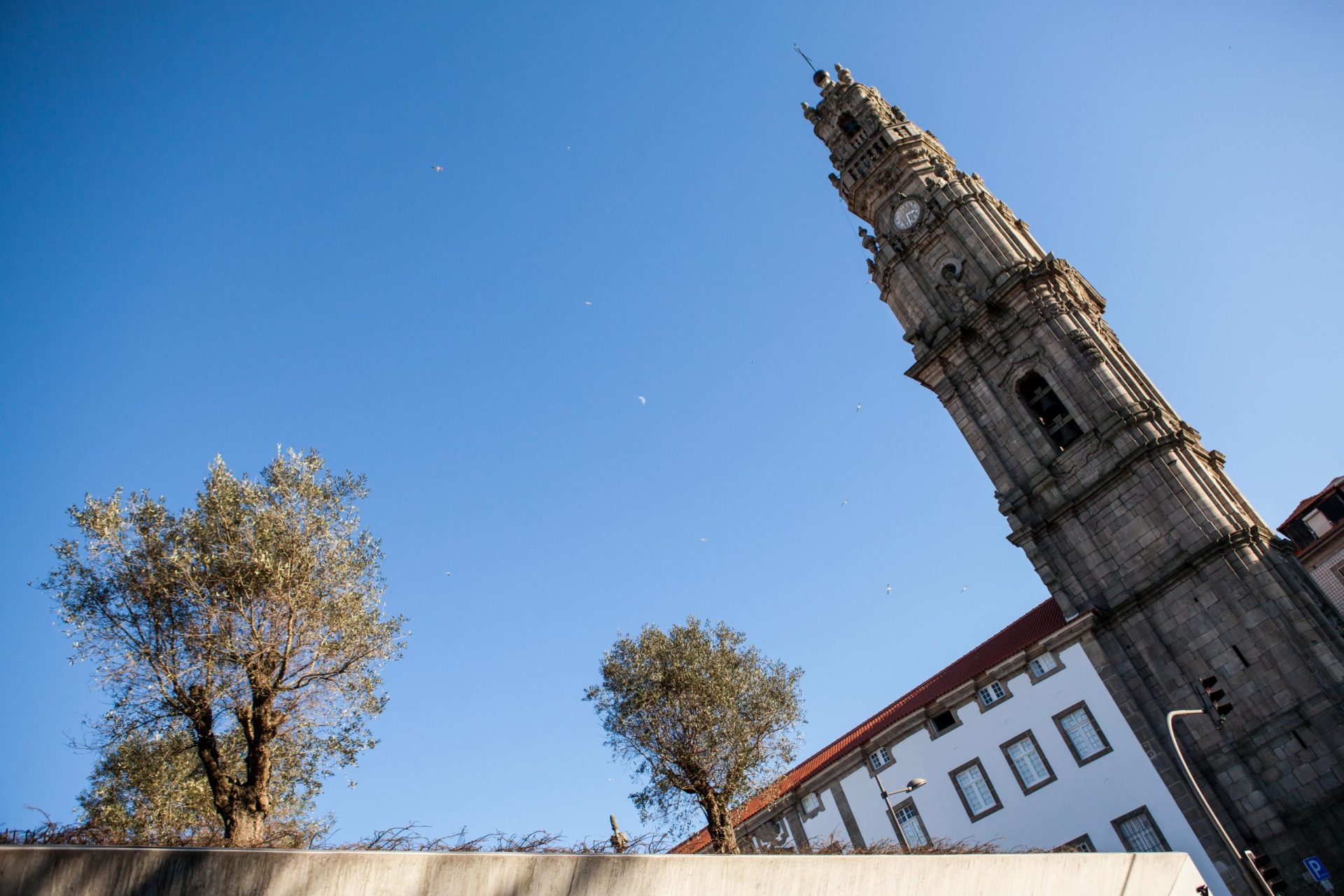 Torre dos Clérigos fecha para obras de restauro