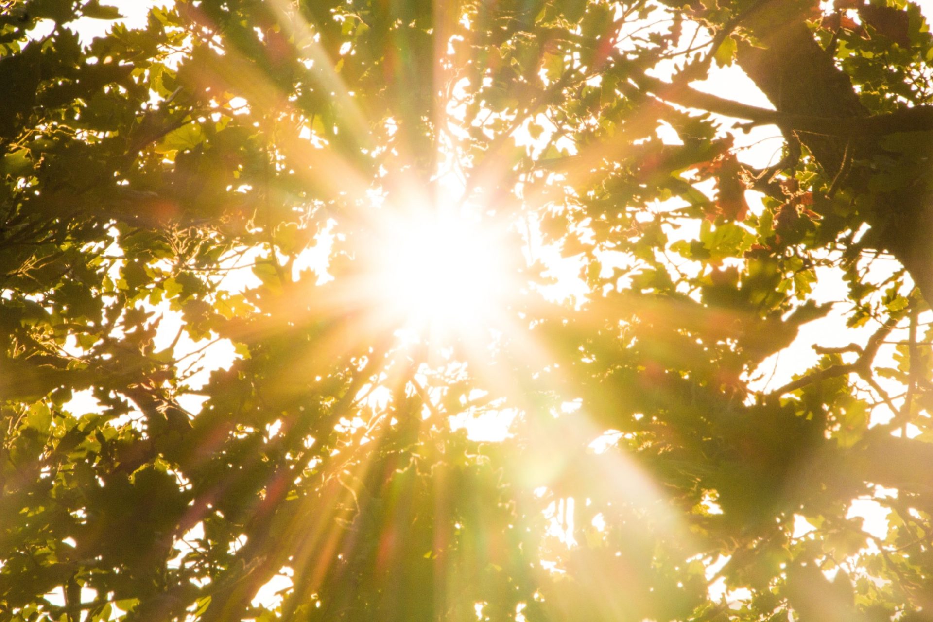 Segunda-feira com sol e temperaturas a chegar aos 23 graus