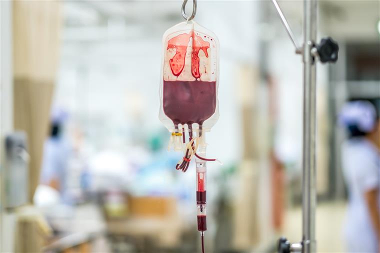 IPST pede reforço de dádivas de sangue devido a carências nos grupos de sangue A e 0