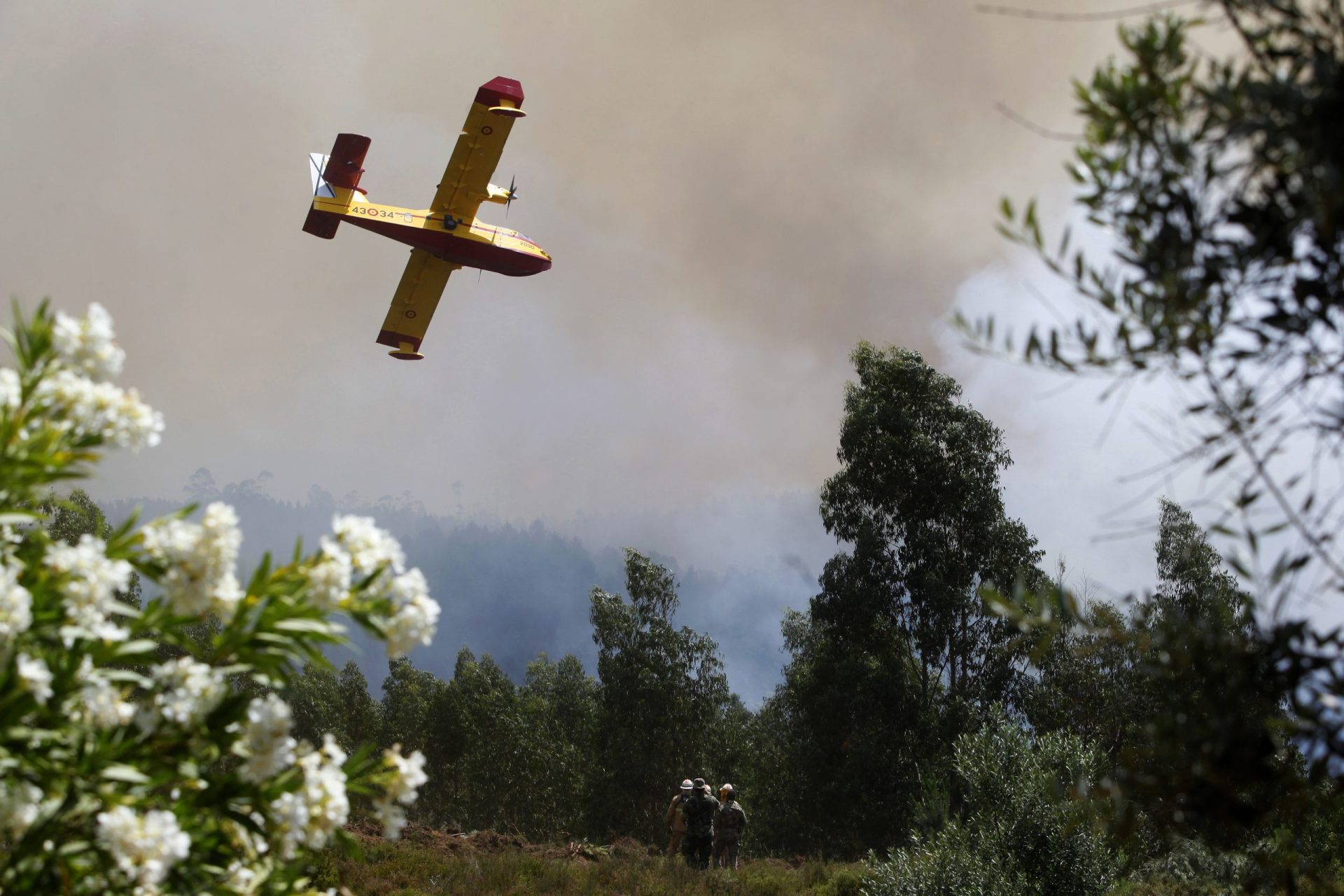 Estão disponíveis 28 dos 37 meios aéreos previstos para combate a incêndios, diz secretária de Estado da Administração Interna