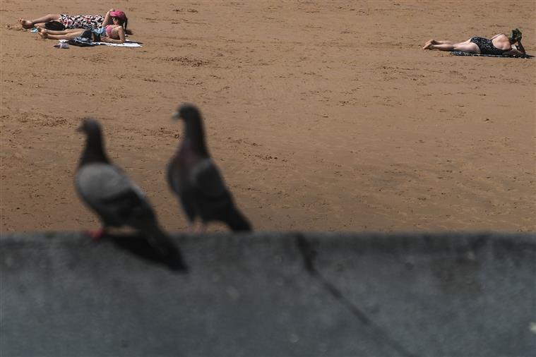 Saiba quais são as freguesias da AML que se mantêm em estado de calamidade