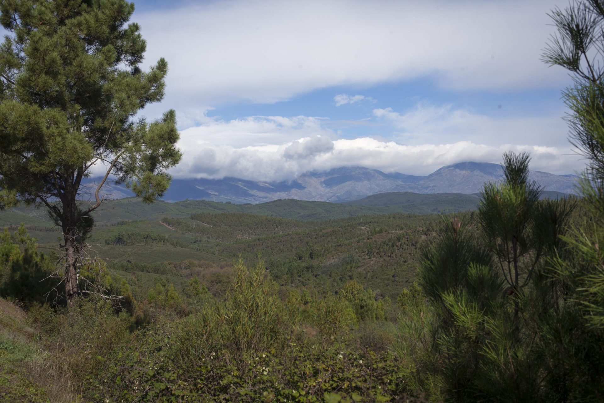 Família perdida na Serra da Estrela é resgatada pela GNR