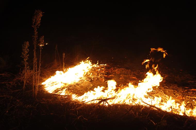 Trinta concelhos de quatro distritos estão hoje em risco máximo de incêndio