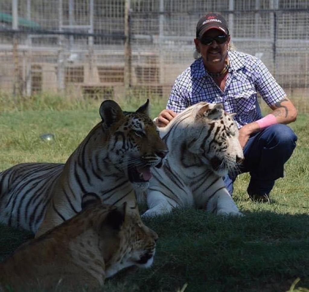 &#8220;Tiger King&#8221; está de volta para uma segunda temporada | Vídeo