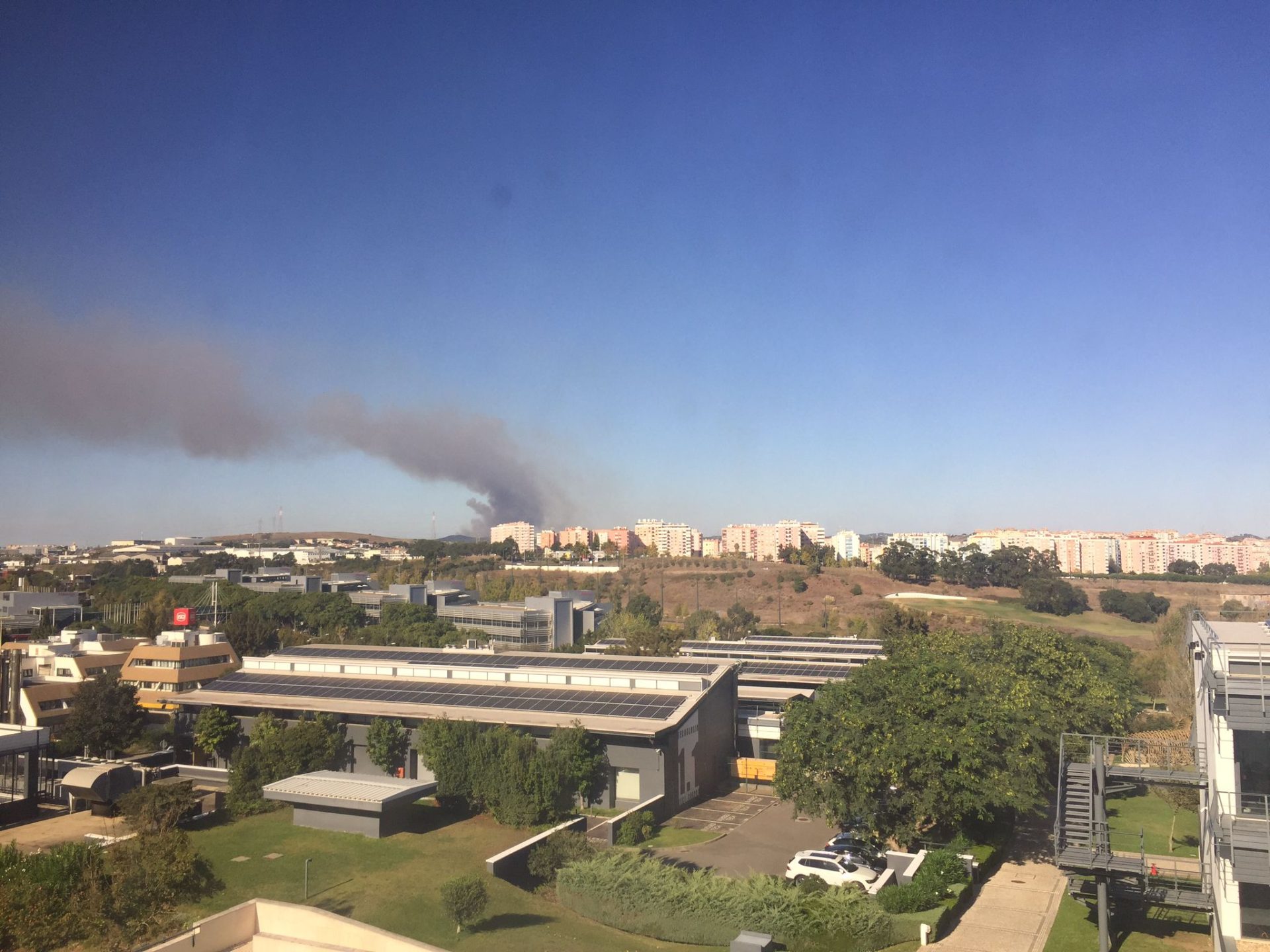 Incêndio deflagra em zona de mato no concelho de Sintra