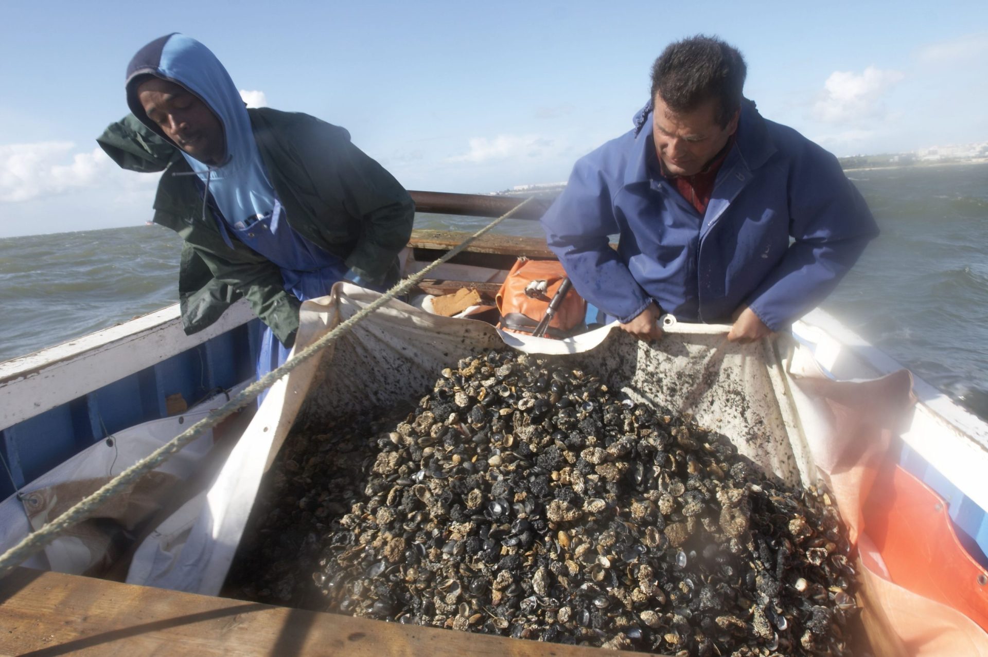 Parlamento aprova projeto para regular pesca de bivalves no Estuário do Tejo