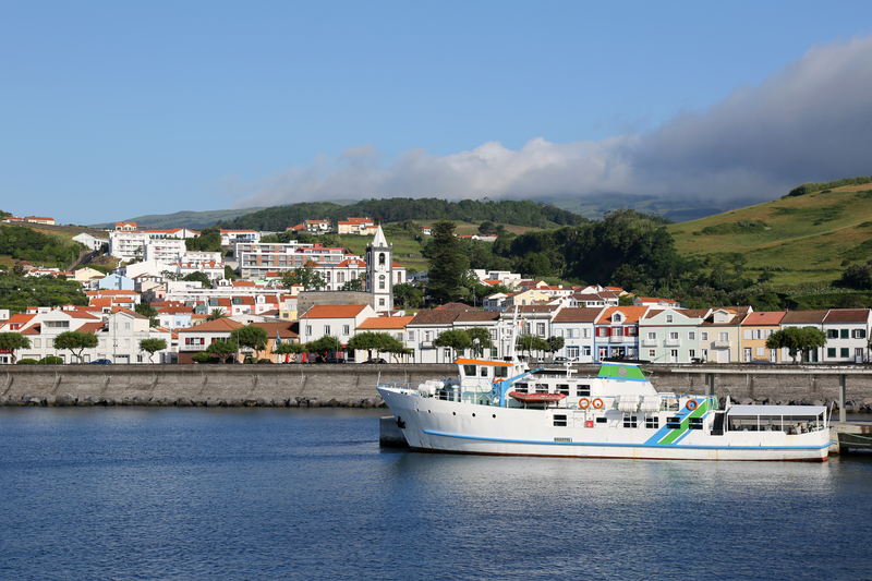 Açores. Peixe-lua com quase três toneladas encontrado sem vida no porto da Horta