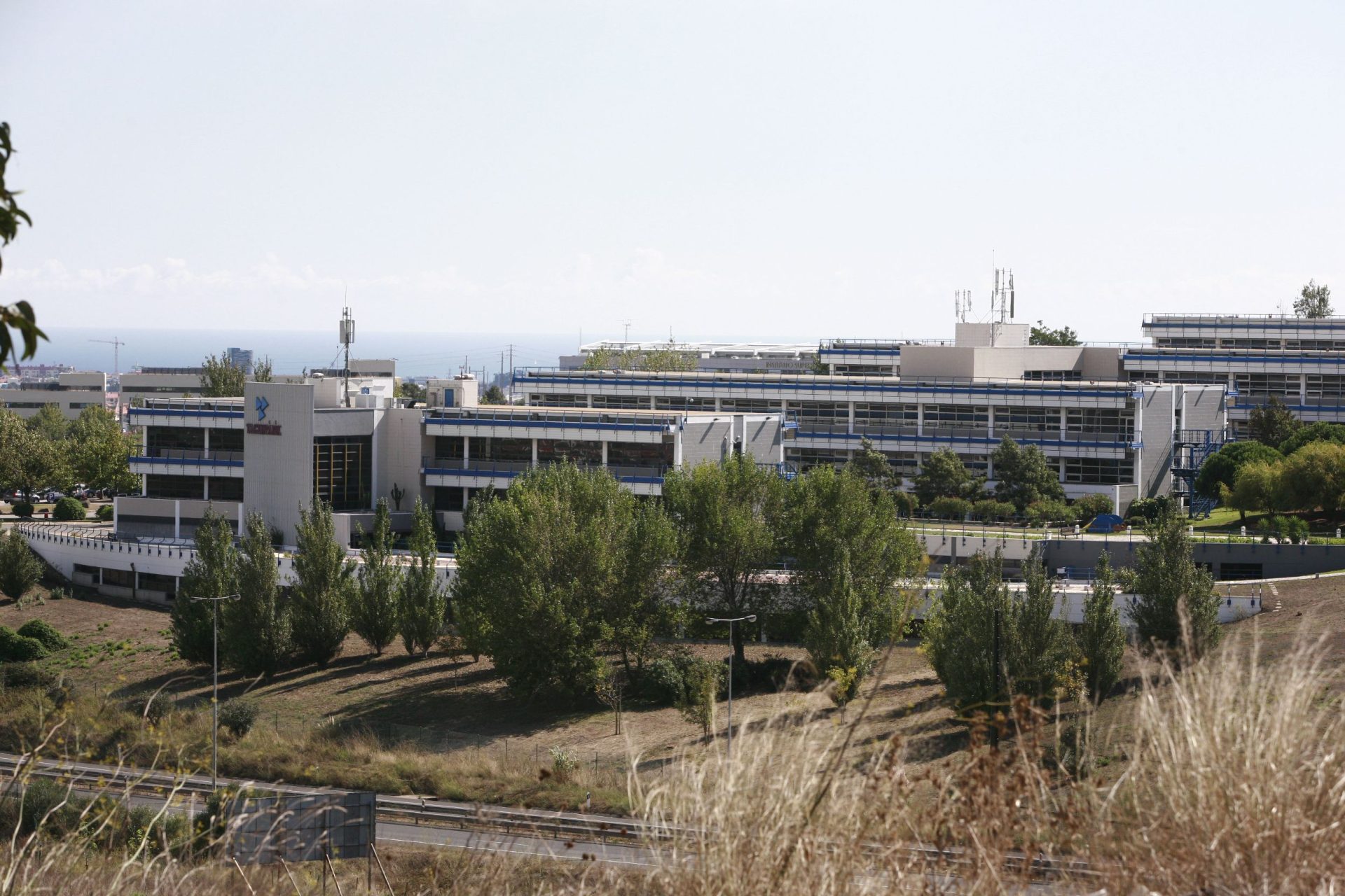 Taguspark e ProCME vão instalar primeira comunidade de energia solar de maior dimensão em Portugal