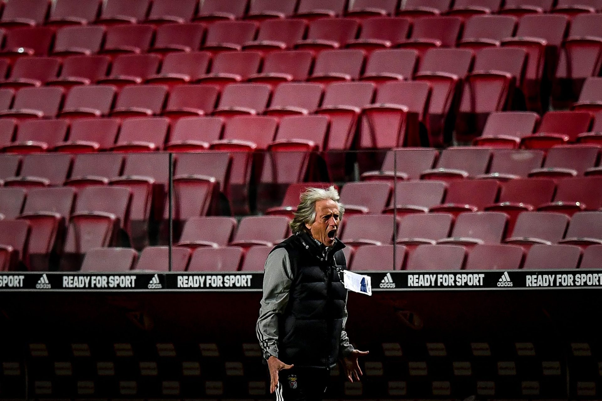 Técnico adjunto do Benfica afasta saída de Jorge Jesus. “Quer ganhar títulos no Benfica”