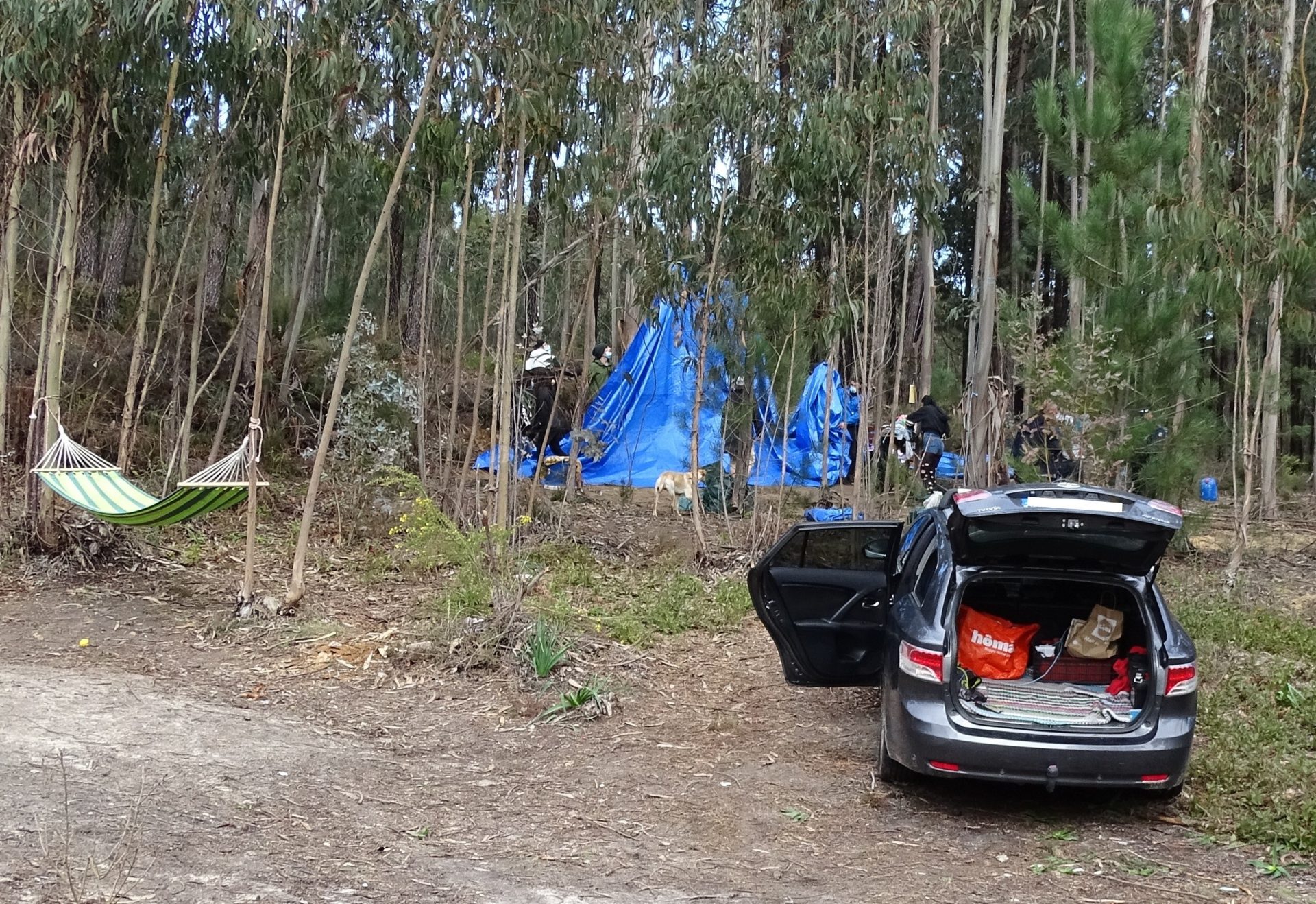 Leiria. PSP põe fim a rave com 19 jovens