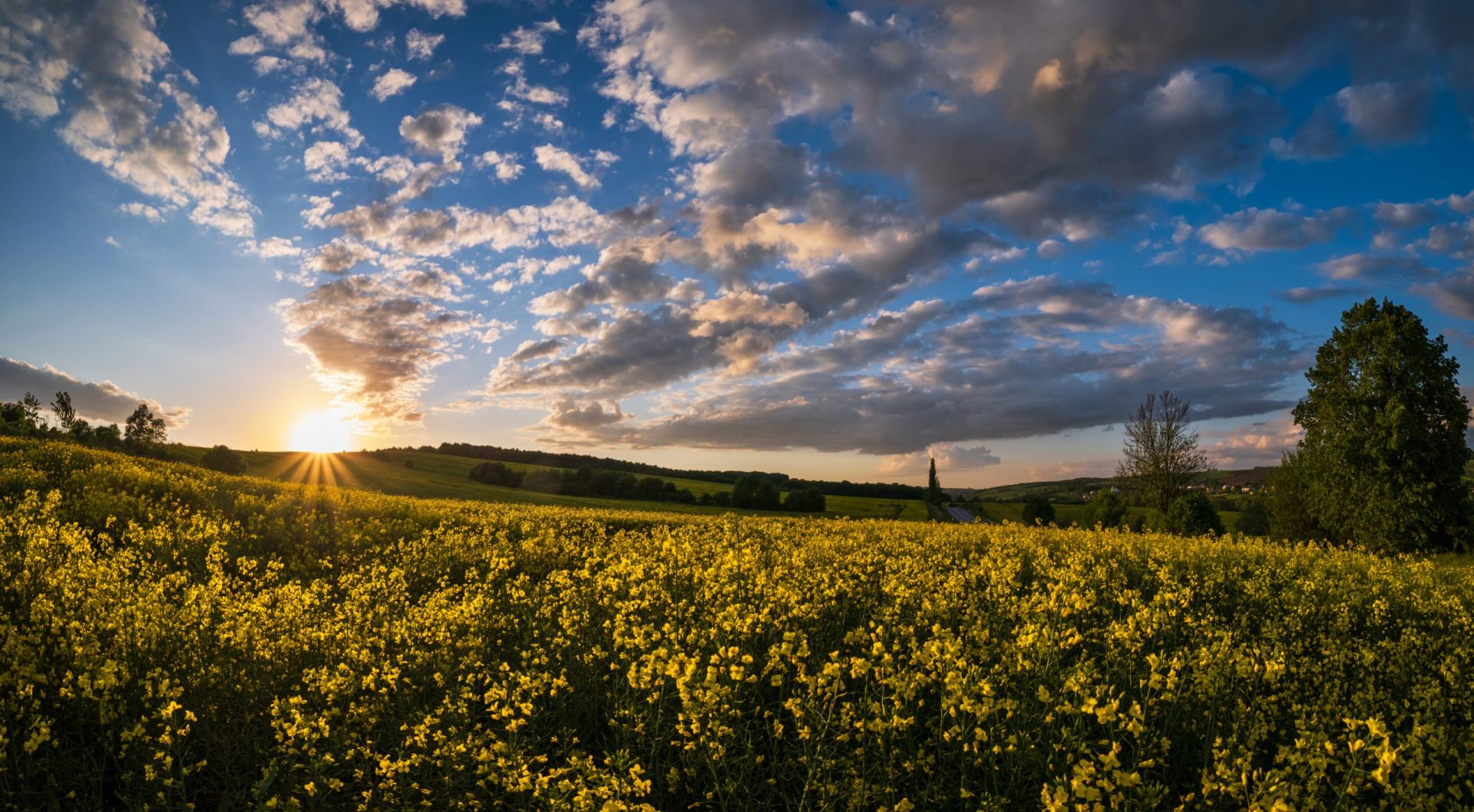 Primavera começa sábado com sol e subida de temperaturas