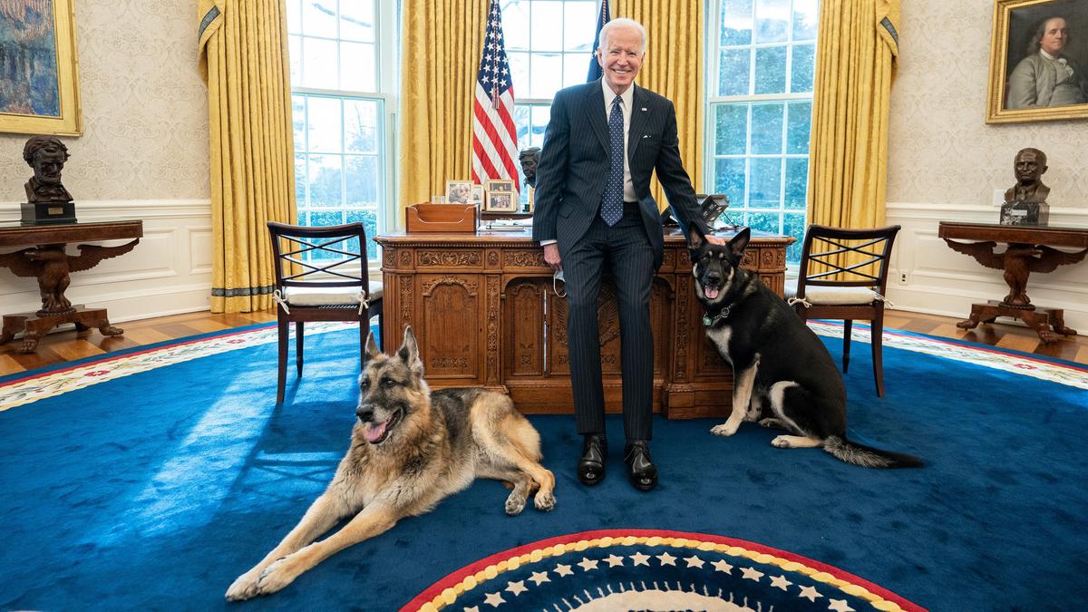 Cão de Biden volta a morder funcionário da Casa Branca