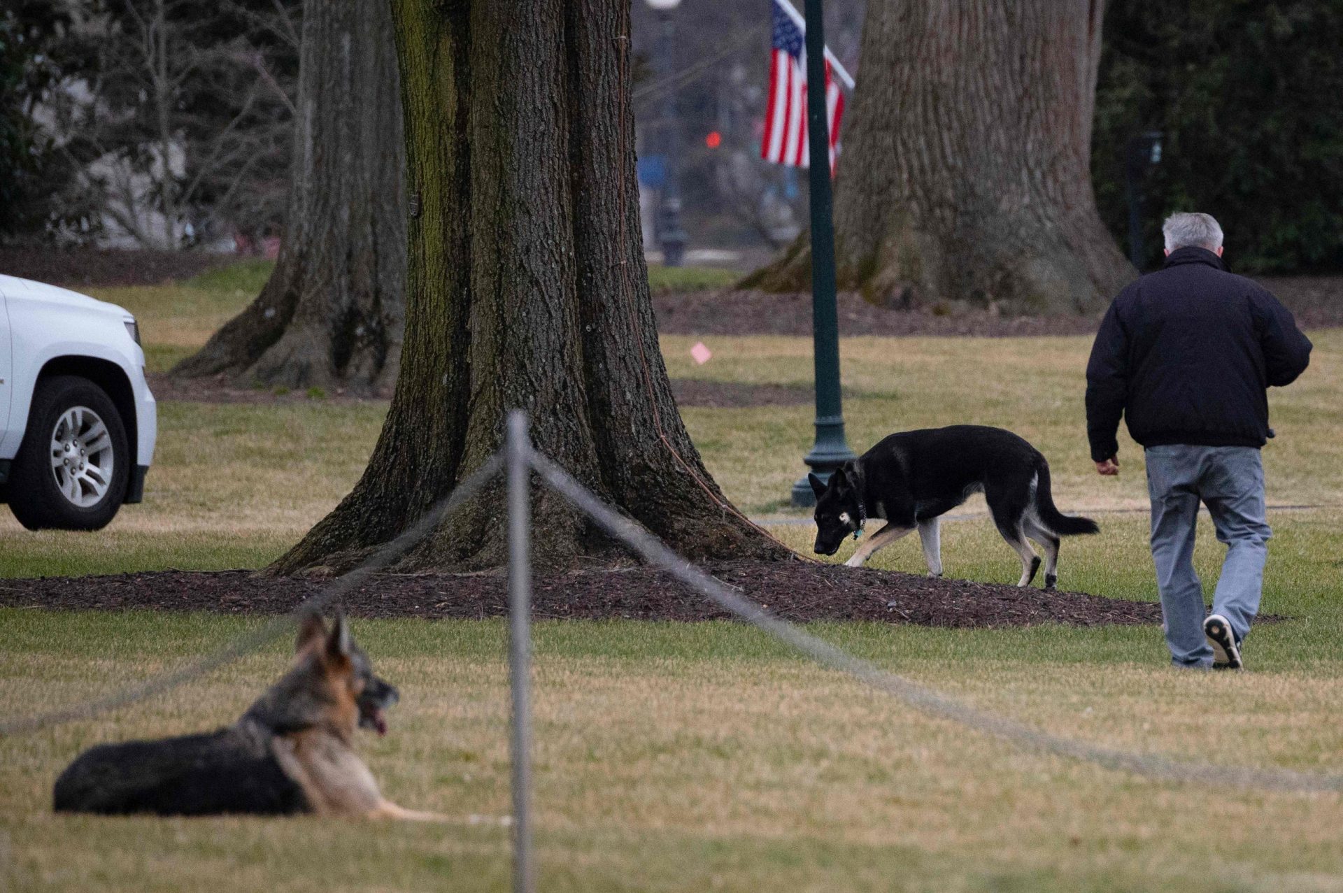 Comportamento agressivo com segurança ‘expulsa’ cães de Biden da Casa Branca