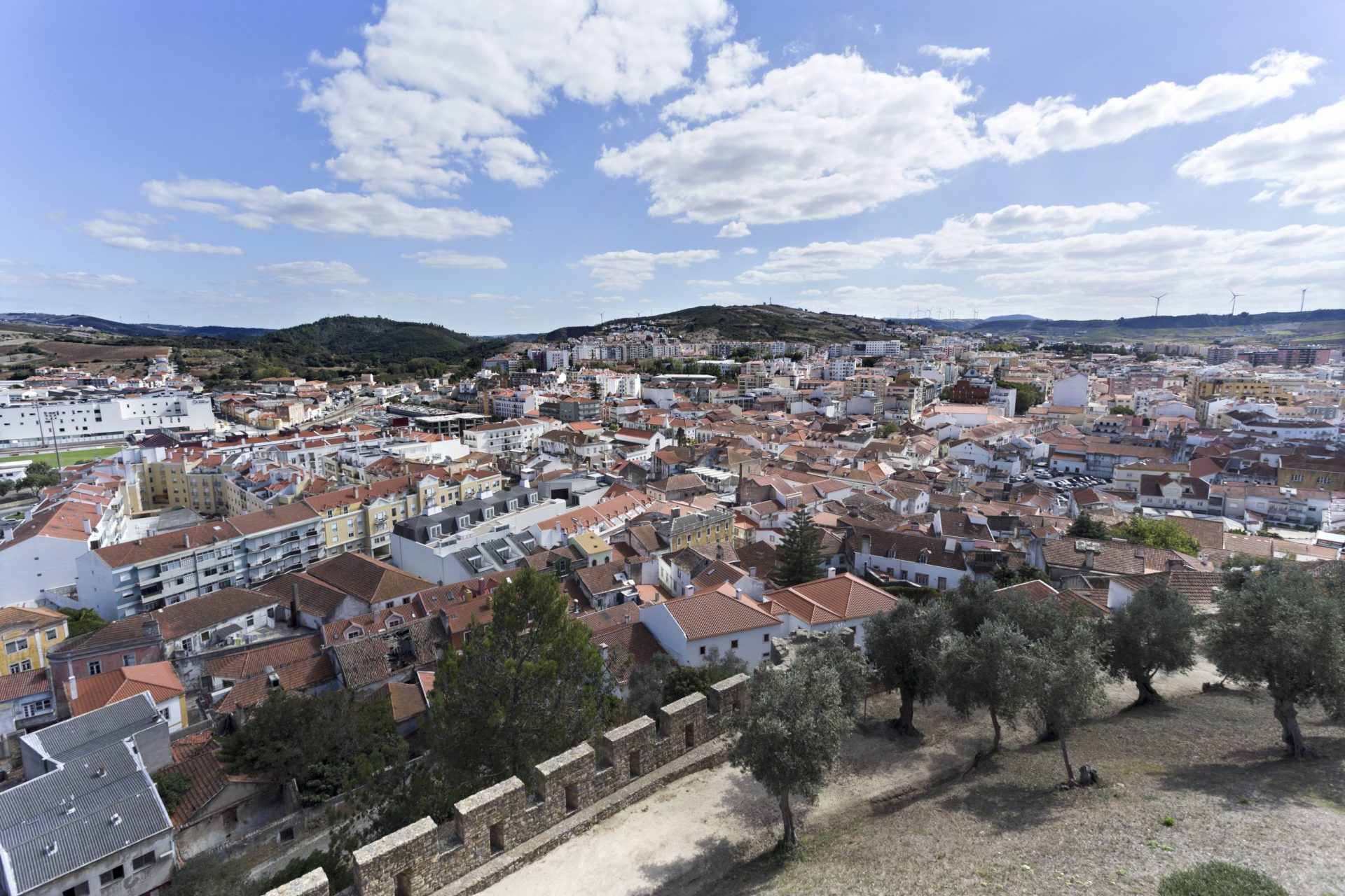 Torres Vedras. Autarquia encontra migrantes a viverem em armazéns e antigas pecuárias