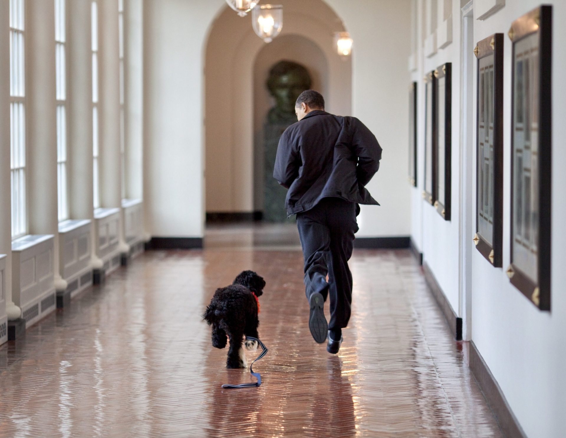 Morreu Bo, a companhia portuguesa da família Obama