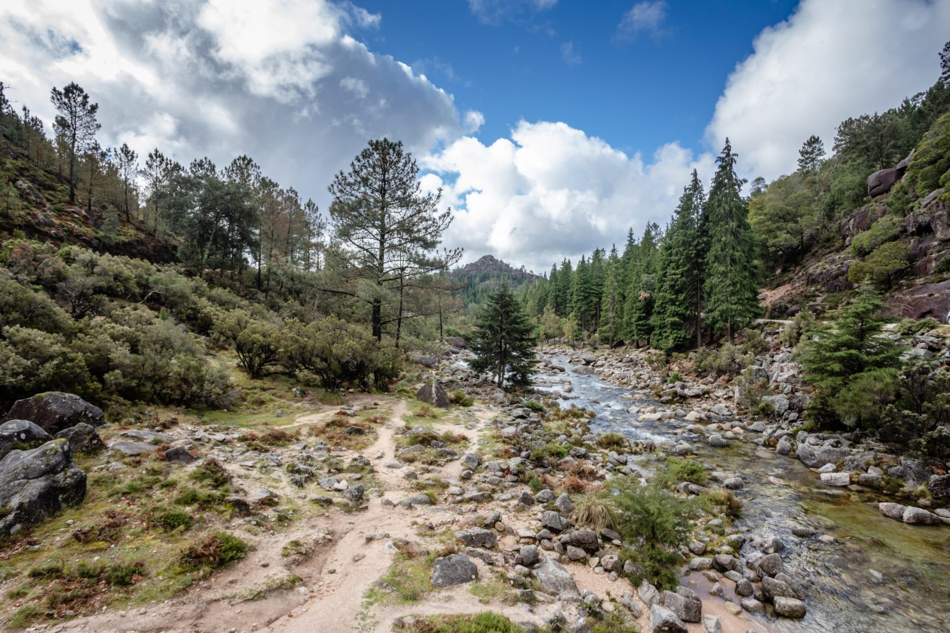 Casal perdido resgatado pela GNR no Parque Nacional da Peneda Gerês