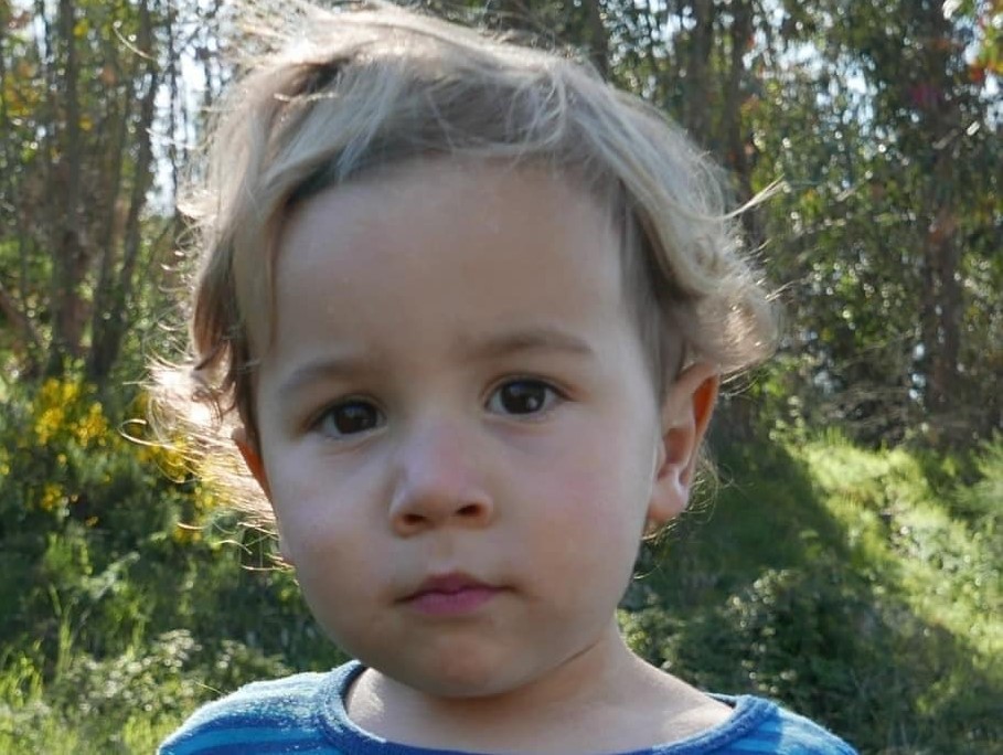 Criança de dois anos desaparecida em Proença-a-Velha