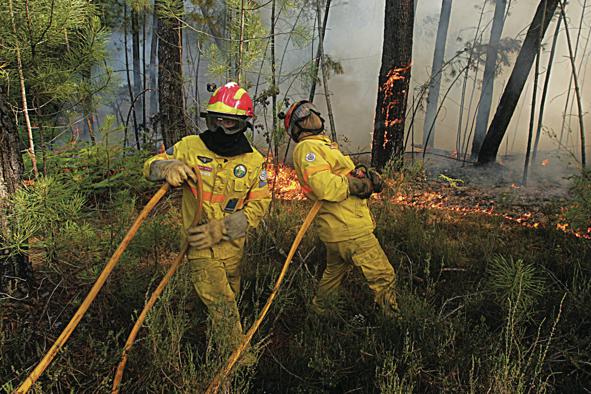 Monchique. Fogo obriga a evacuar lar de idosos e pelo menos duas casas