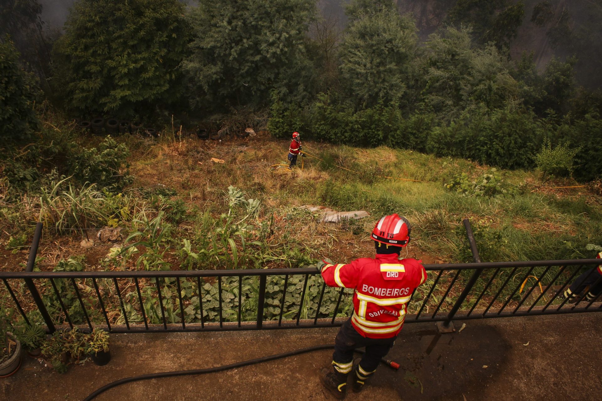 PJ indica homem detido pelo fogo em Sertã como suspeito de 16 incêndios entre 2017 e 2021