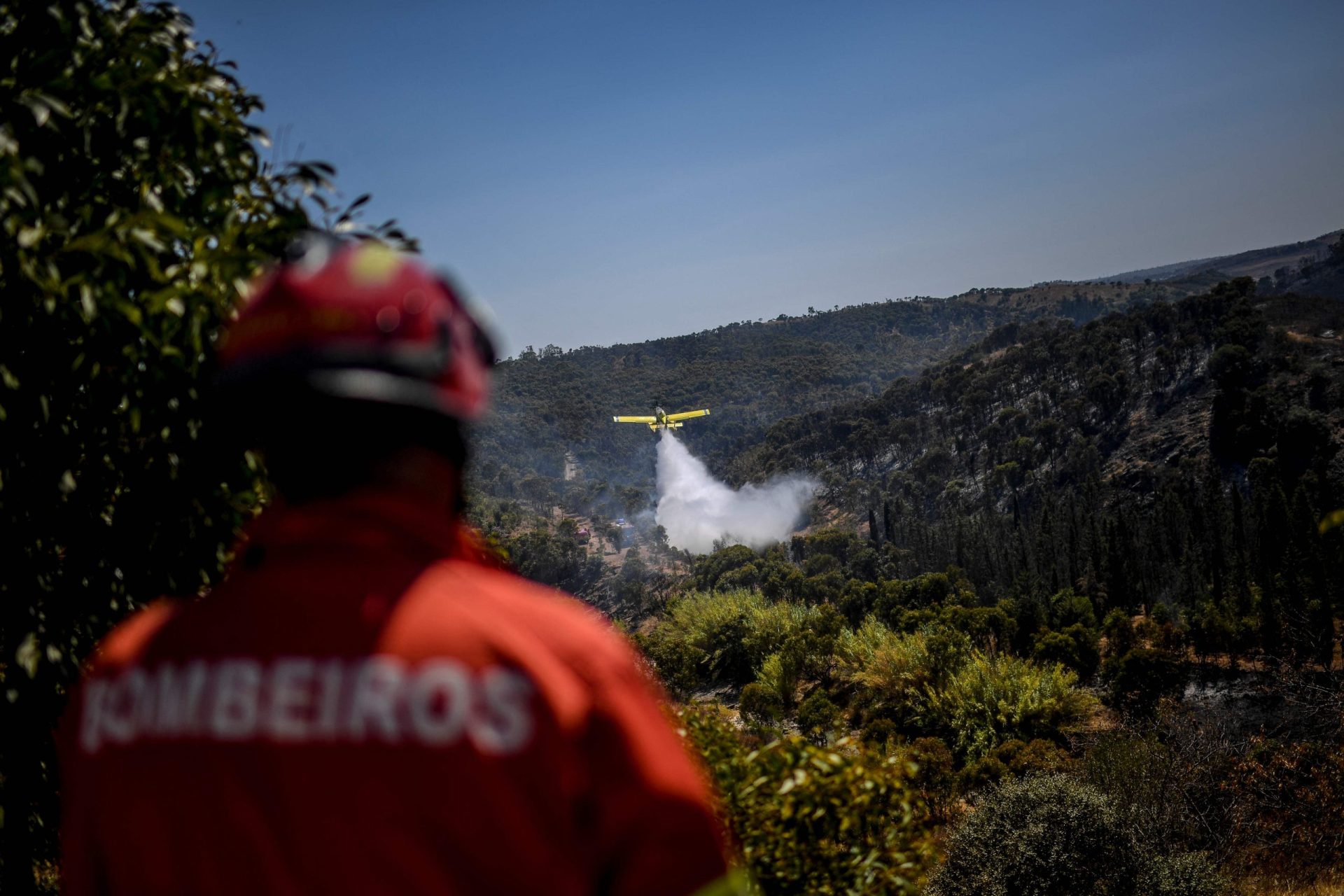 Bombeiros combatem incêndio em zona de mato e povoamento florestal em Odemira