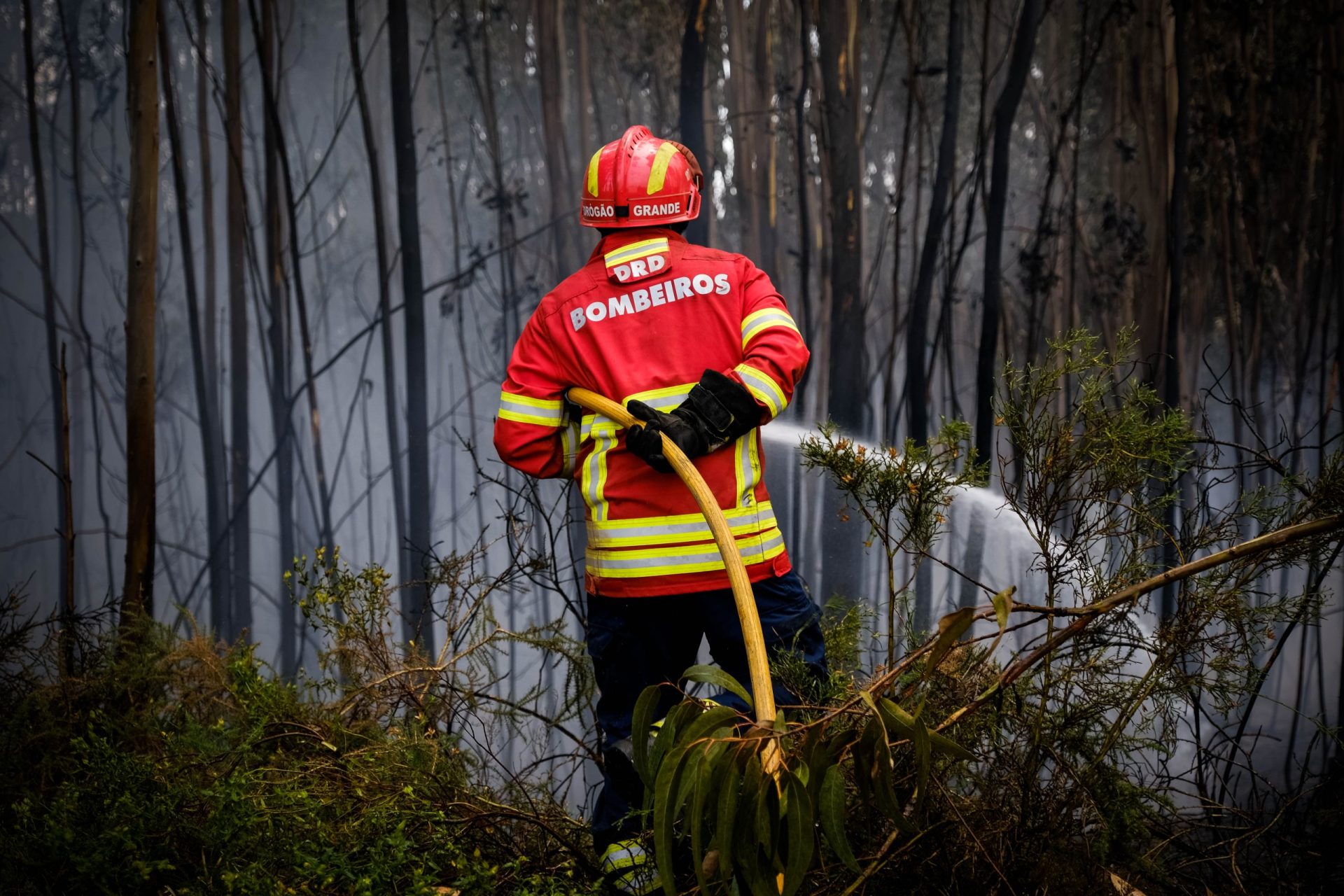 Risco de incêndio vai continuar pelo menos até sexta-feira