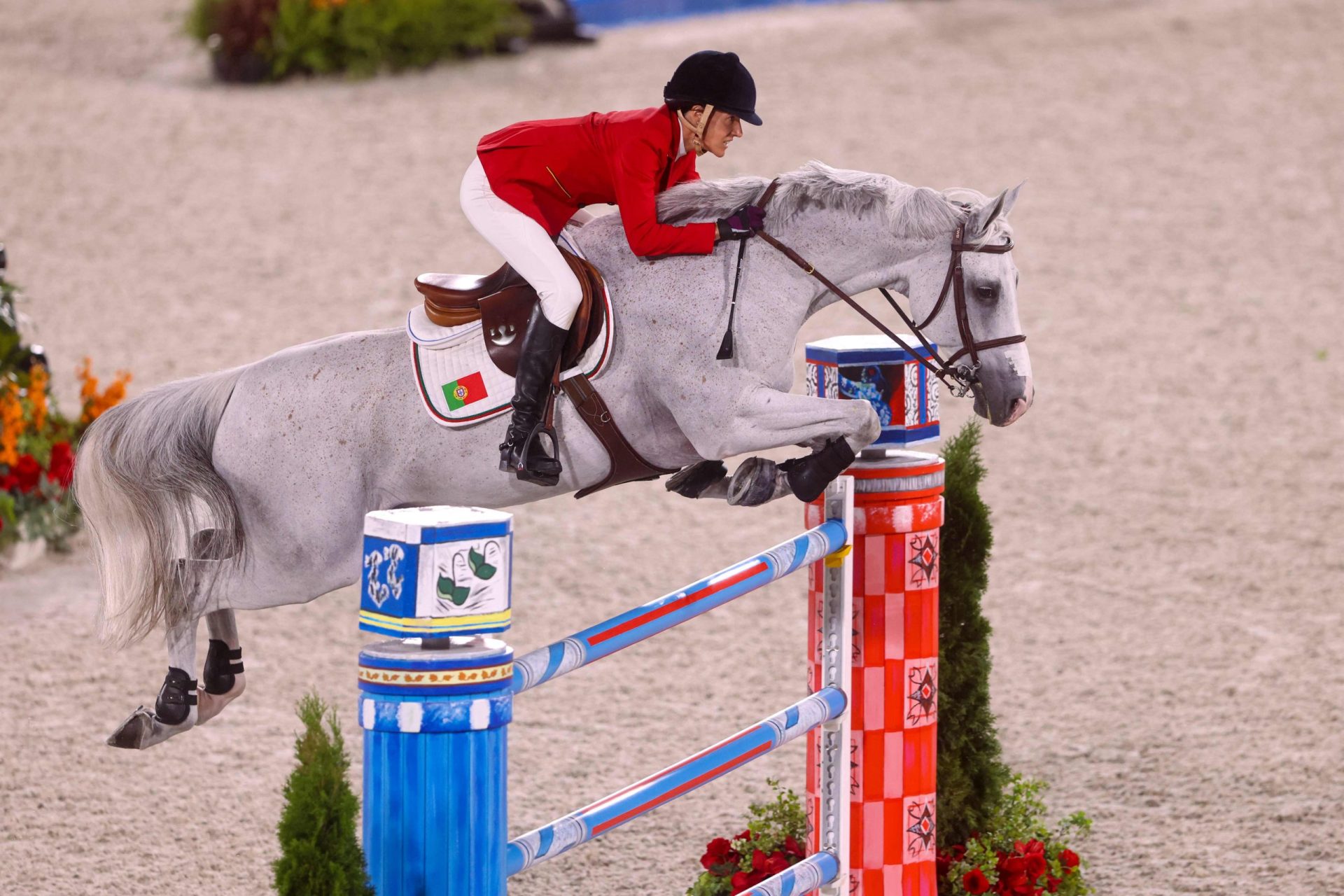 Por um triz. Cavaleira Luciana Diniz afastada da luta para as medalhas após penalização no penúltimo obstáculo