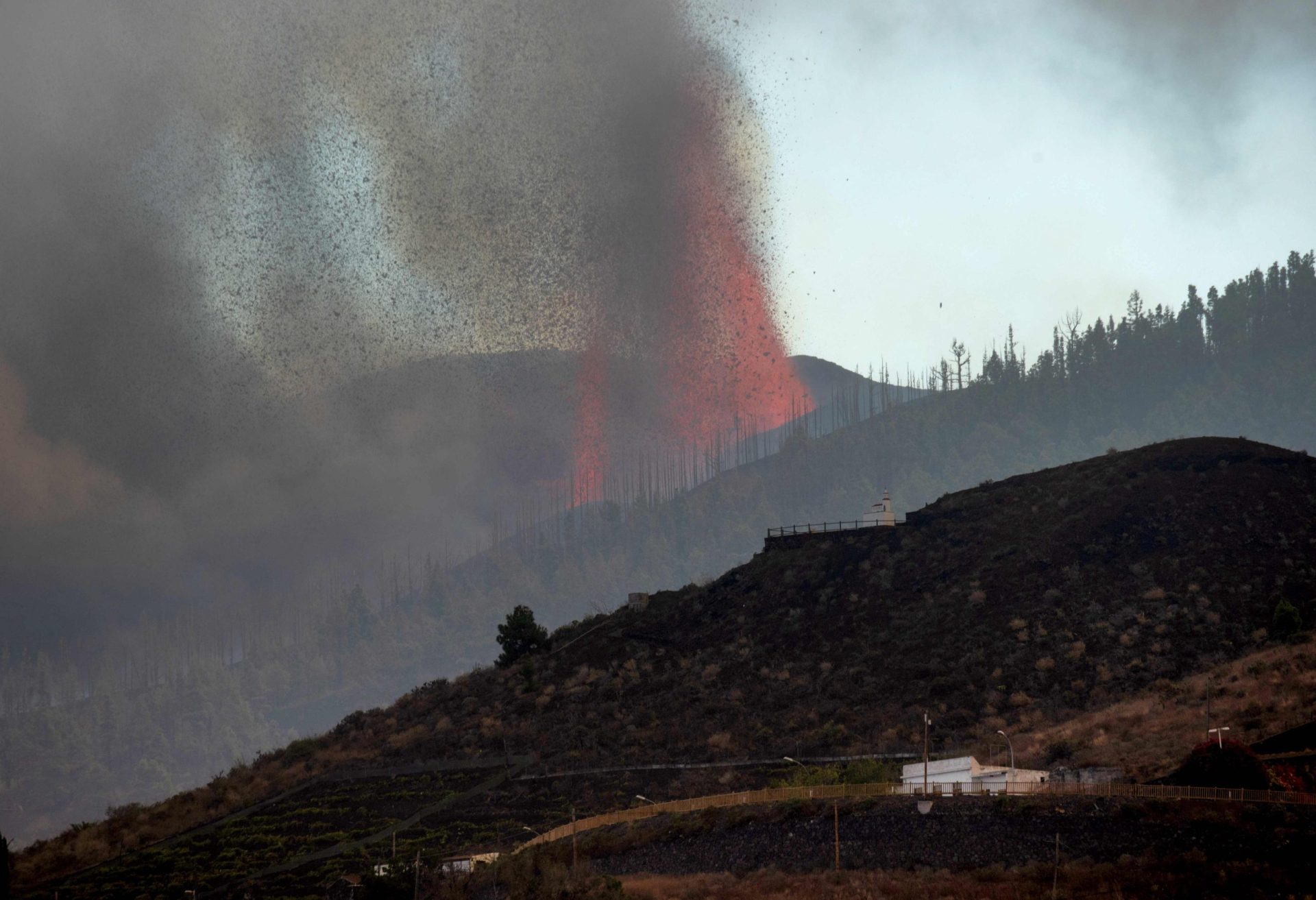 Erupção do vulcão em La Palma pode durar até 84 dias