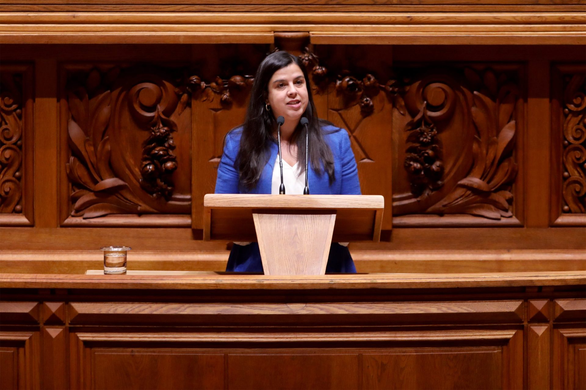 PAN lança iniciativa legislativa de cidadãos pelo fim das touradas