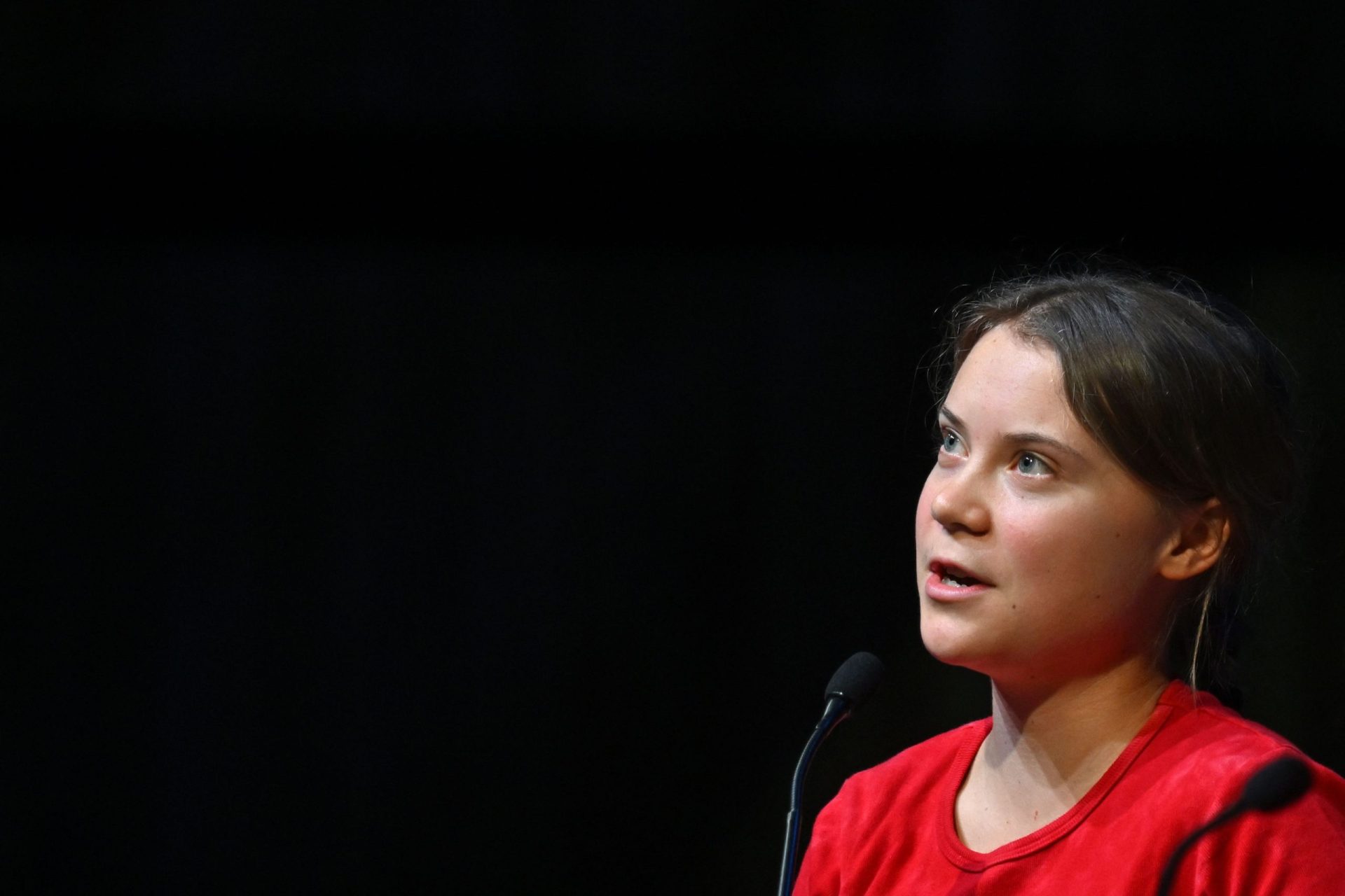 Greta Thunberg não vai à COP27 por ser uma “mentira”