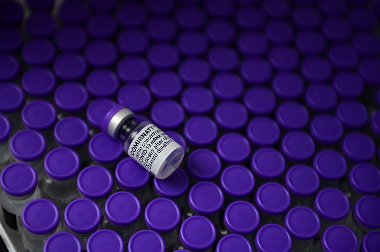 Pfizer terá vacina eficaz contra variante Ómicron em março
