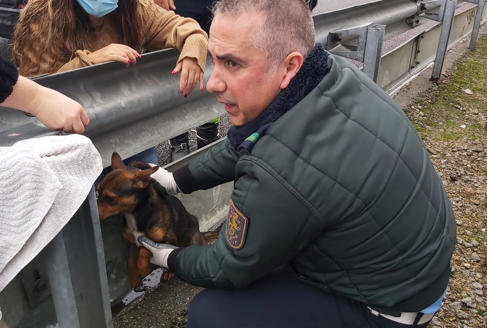 Porto. GNR cortou A1 para salvar cão que se encontrava desorientado