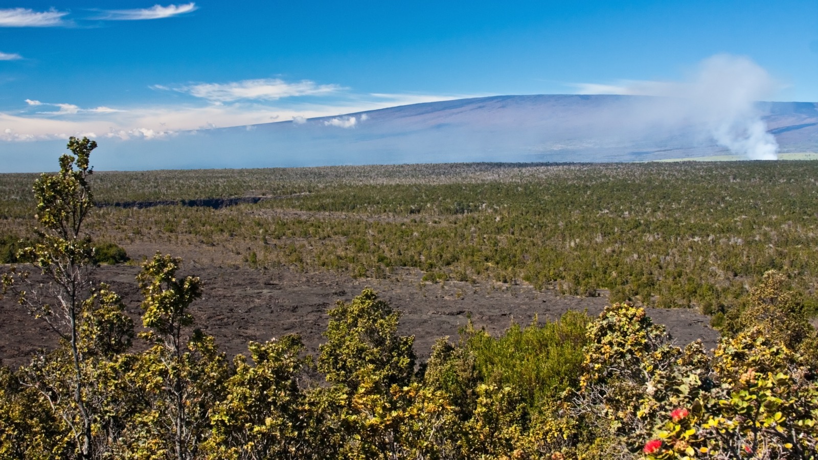 Havai: maior vulcão do mundo entra em erupção