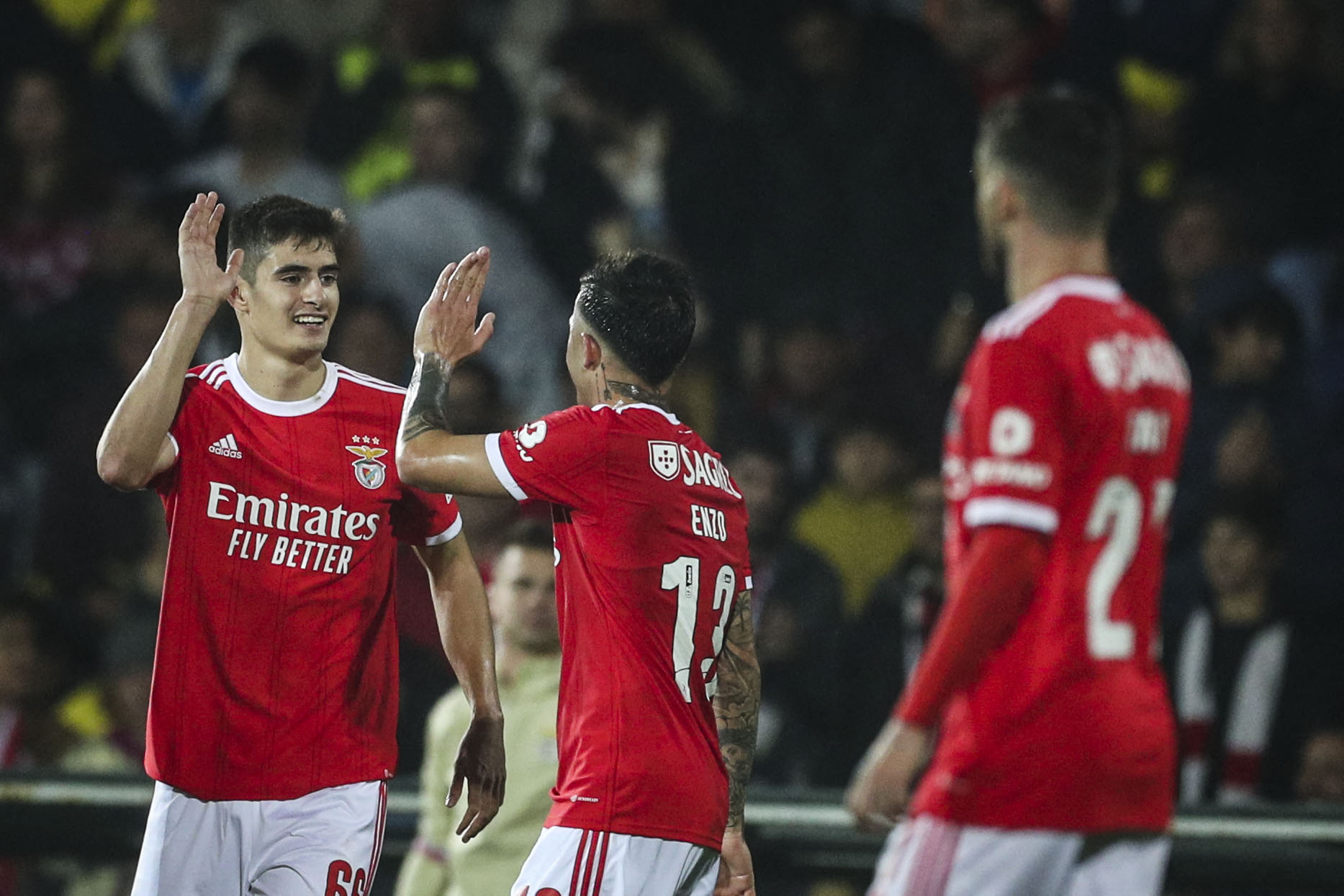 Benfica continua invicto e goleia Estoril Praia