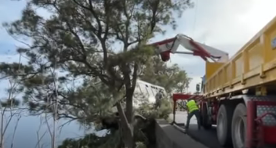 Funchal. Autocarro com 20 passageiros despista-se e fica suspenso na beira de um precipício