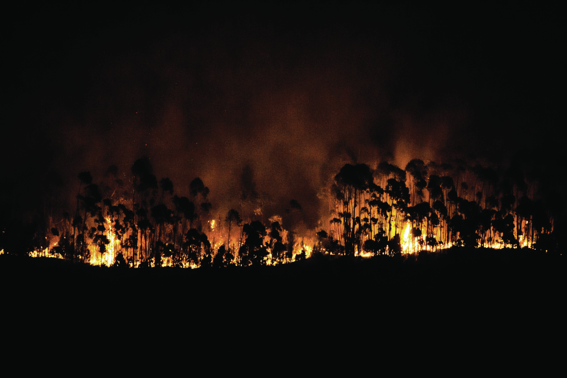 PJ detém jovem de 17 anos por ter ateado nove incêndios florestais