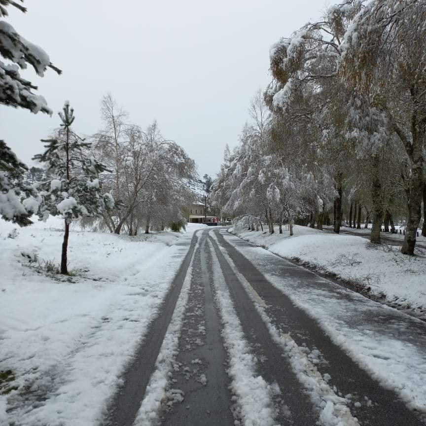 Neve. Gerês e Trás-os-Montes pintados de branco