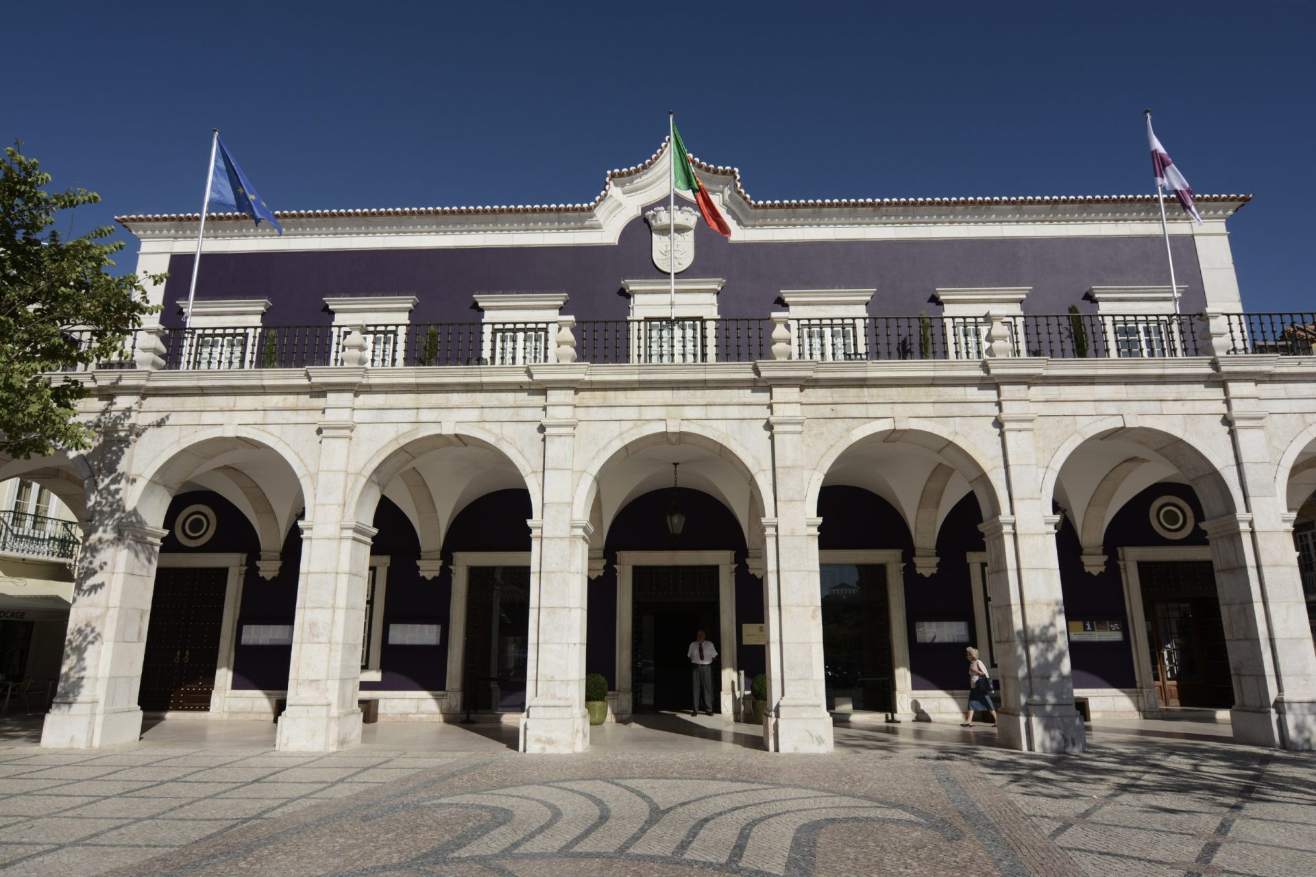 Polémica com refugiados. PSD/Setúbal pede demissão de Presidente da Câmara