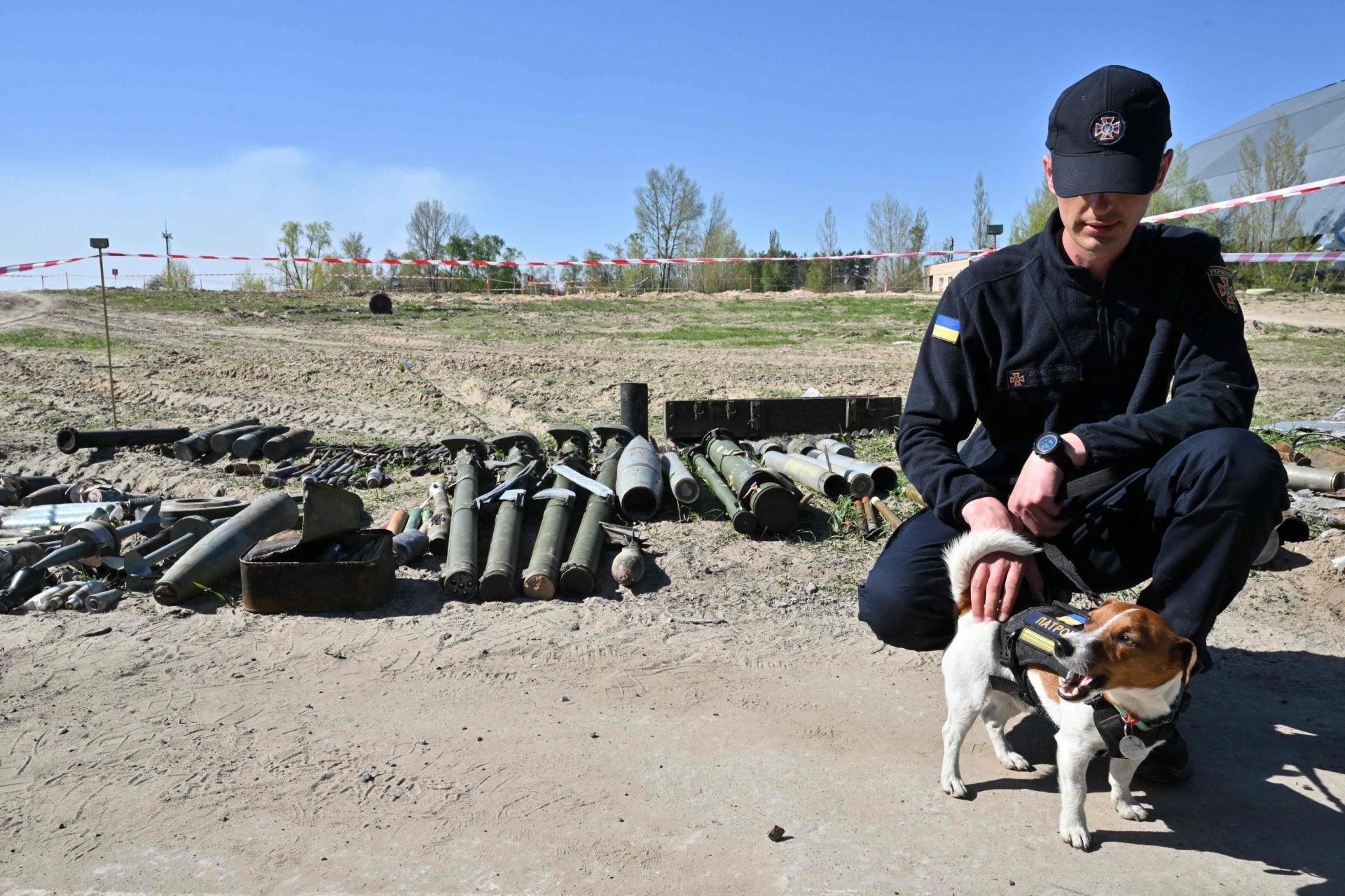 Presidente da Ucrânia condecora cão especialista na deteção de explosivos