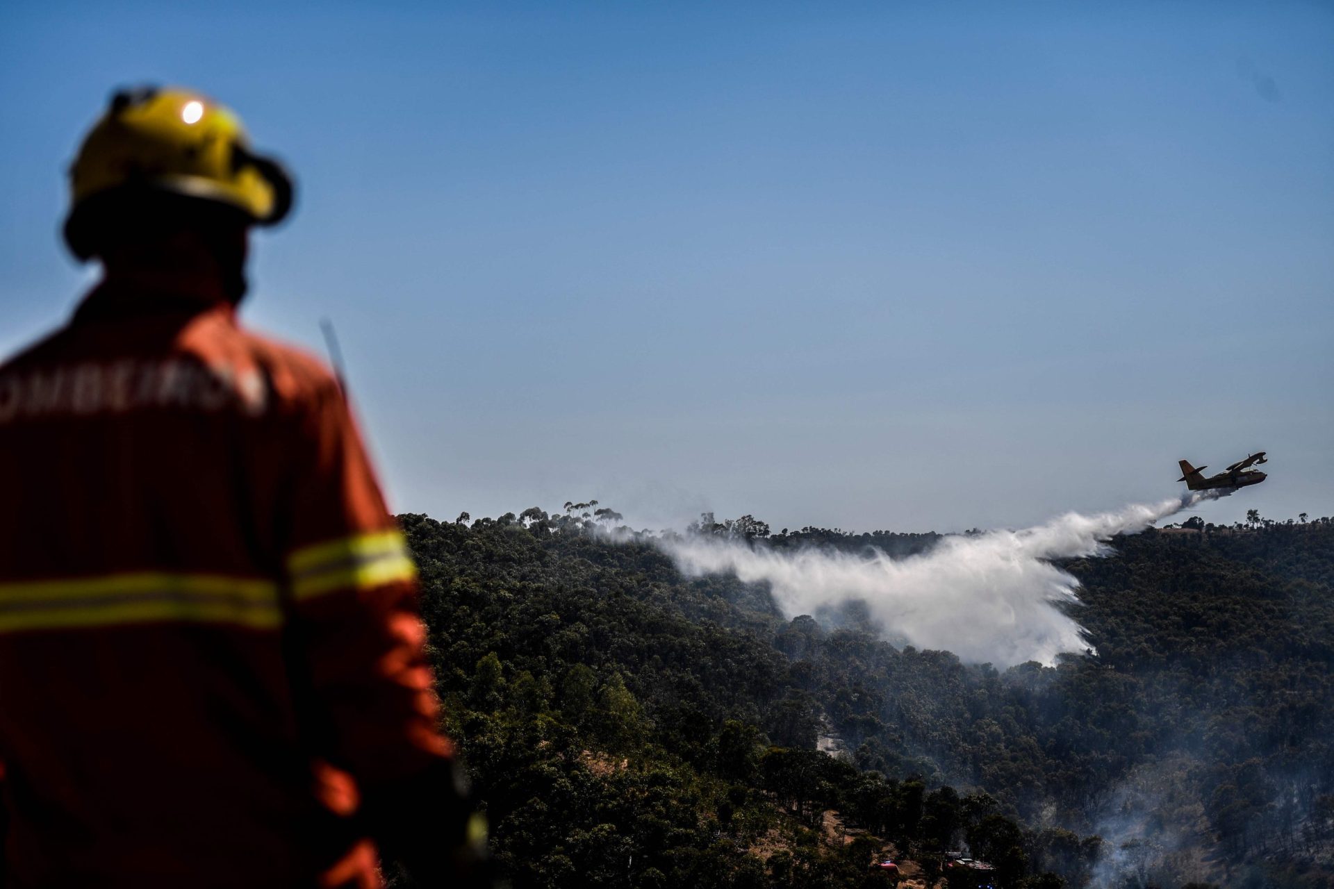 Coimbra. Mais de 130 bombeiros e cinco meios aéreos combatem incêndio numa floresta