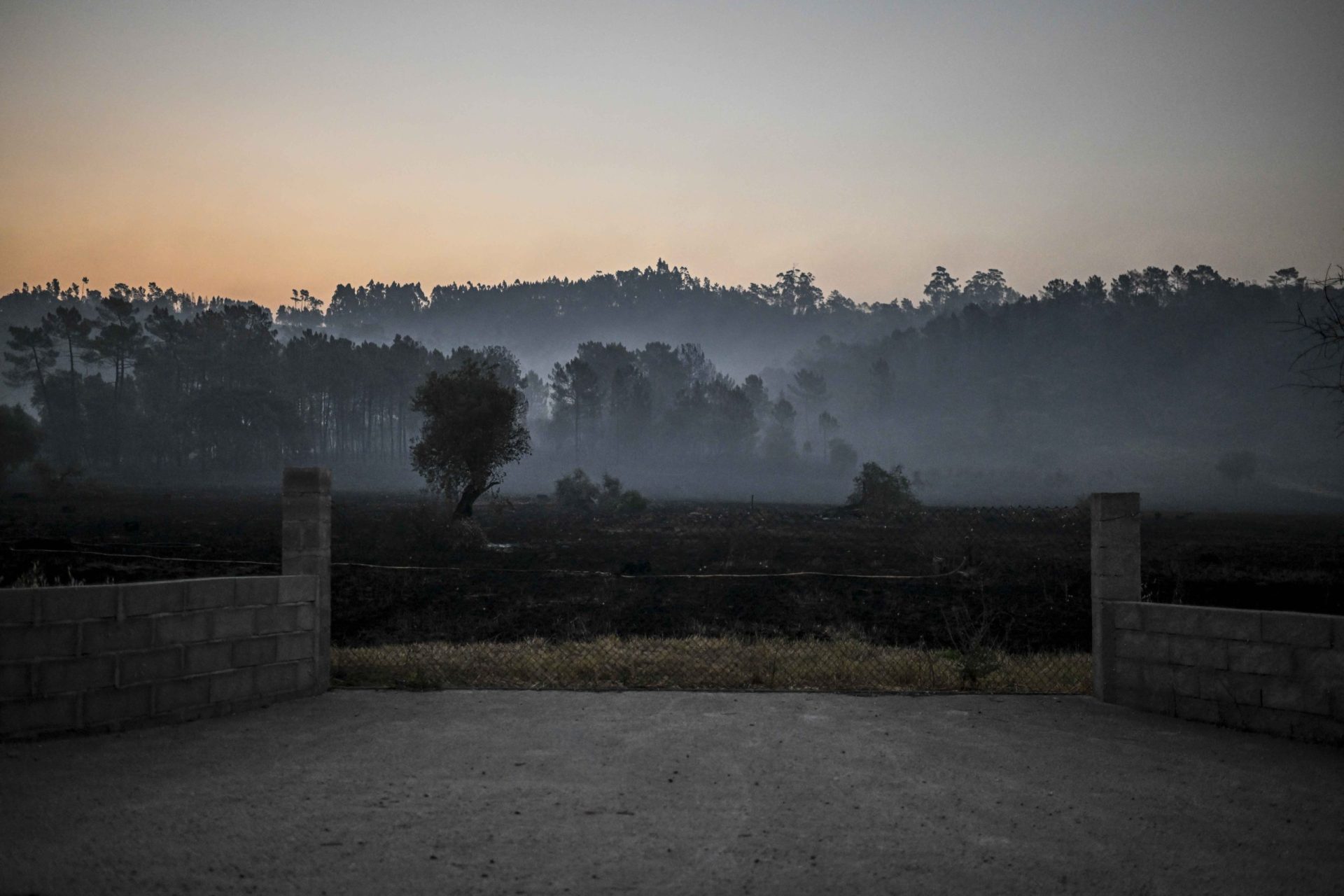 Dois pelotões da GNR vão reforçar combate aos incêndios