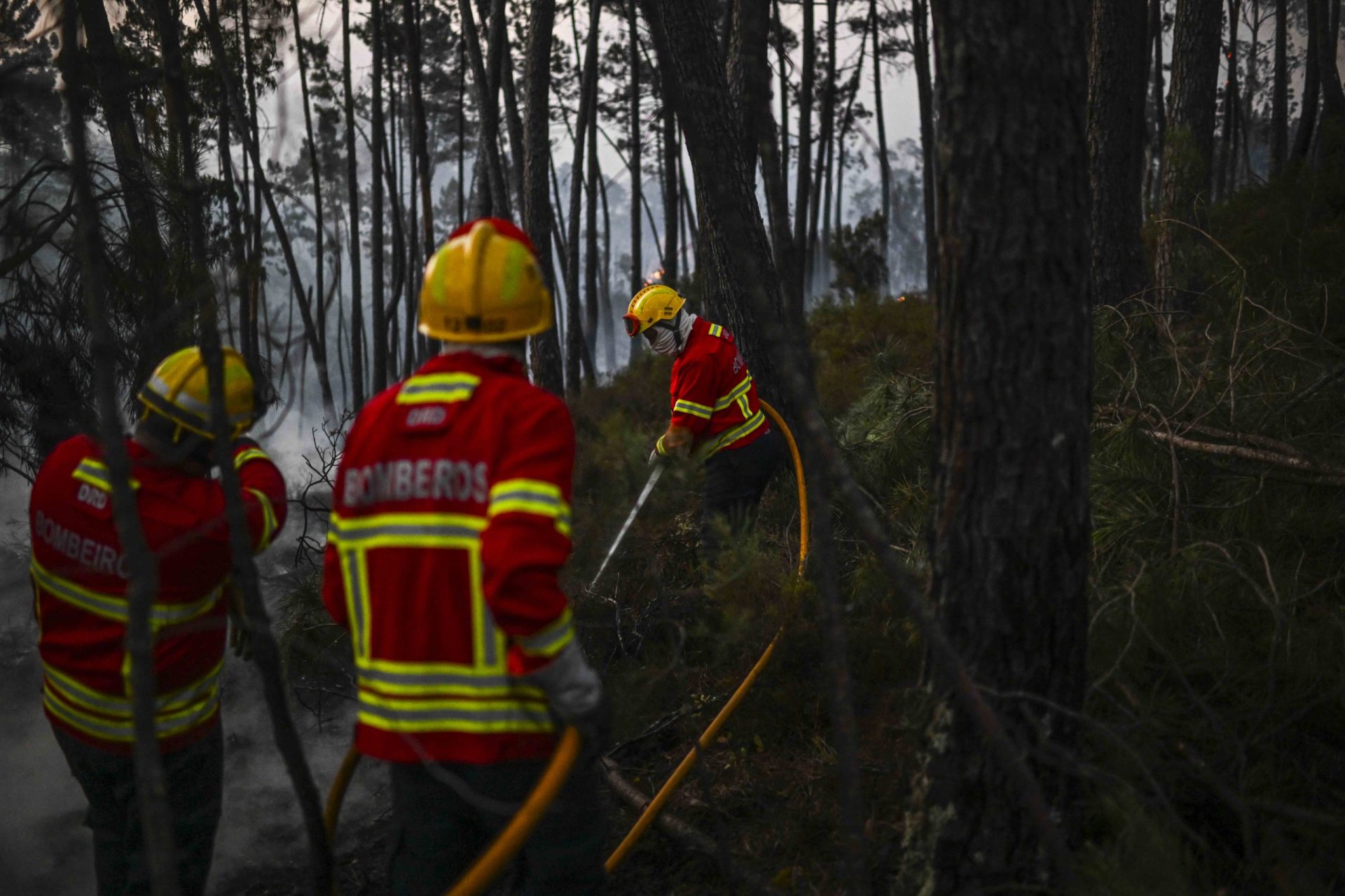 Presidente da Câmara sobre incêndio em Ansião: Três horas de “terror” e “muito pânico”